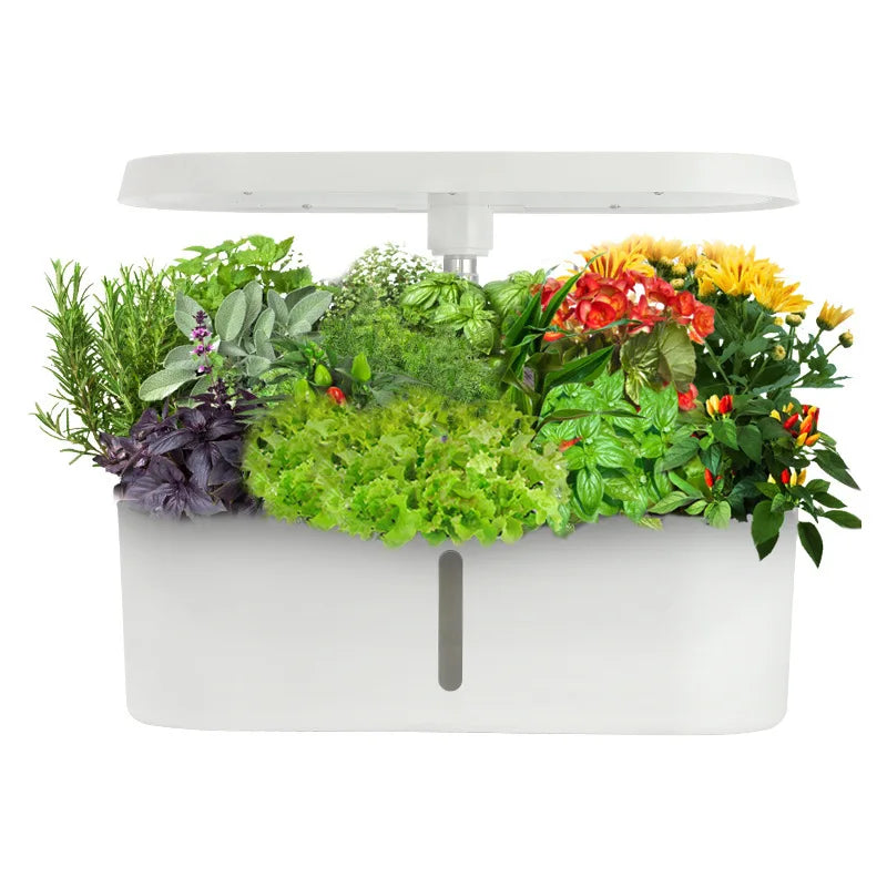 Home Smart Hydroponic Vegetable Grower Fully Automatic Vegetable Growing System Soilless Hydroponic Flower Growing System